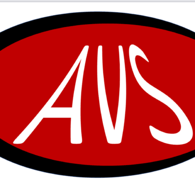 AVS Security System